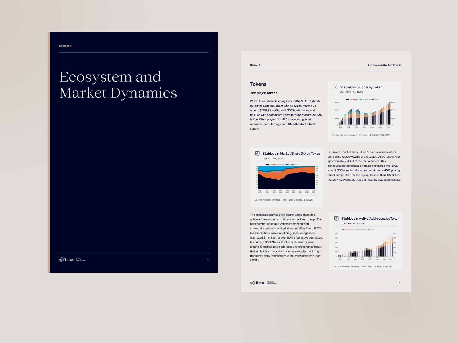 Teroxx - Financial Report Design